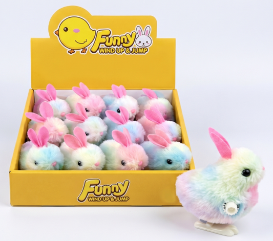 Wind Up Plush Rainbow Chick